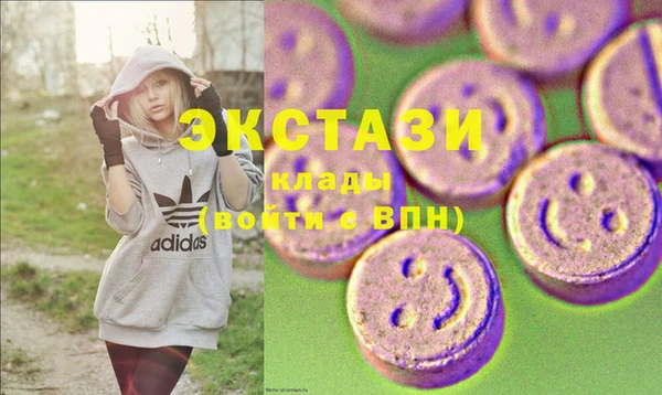 гашик Вяземский