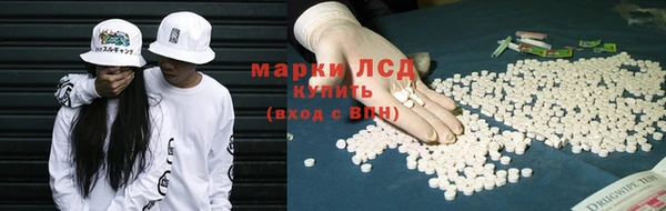 гашик Вяземский