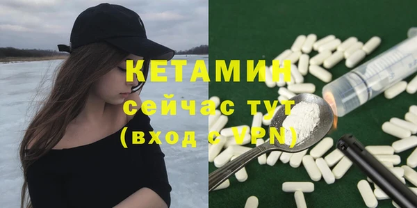 гашик Вяземский