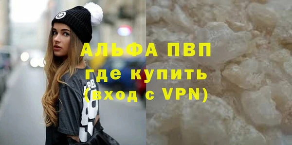 гашик Вяземский