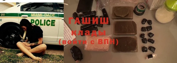 гашик Вяземский