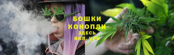 ECSTASY Горняк