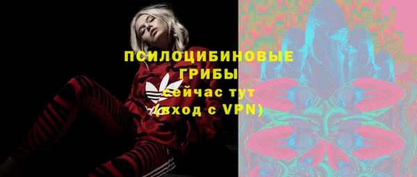 гашик Вяземский