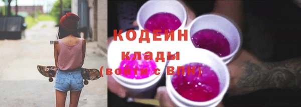 гашик Вяземский