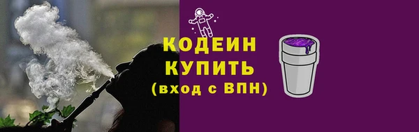 гашик Вяземский