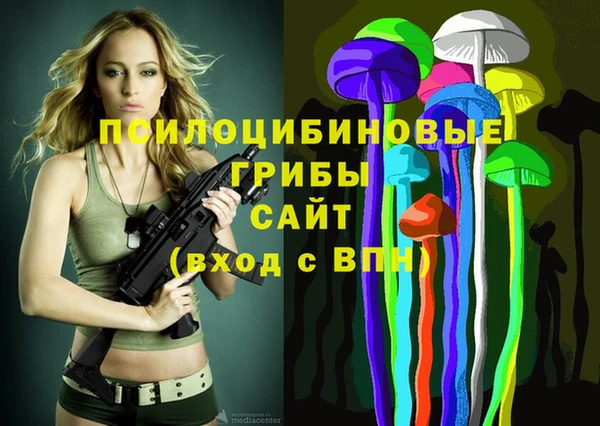 гашик Вяземский