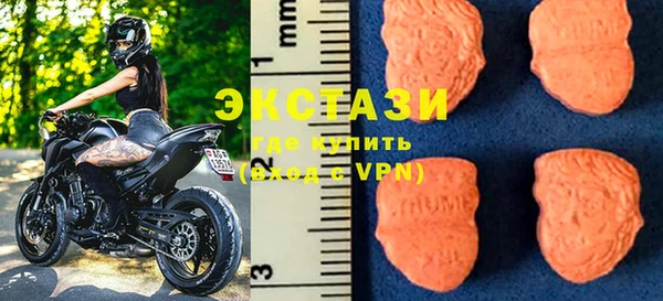 гашик Вяземский