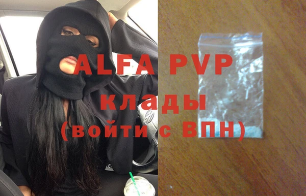 гашик Вяземский