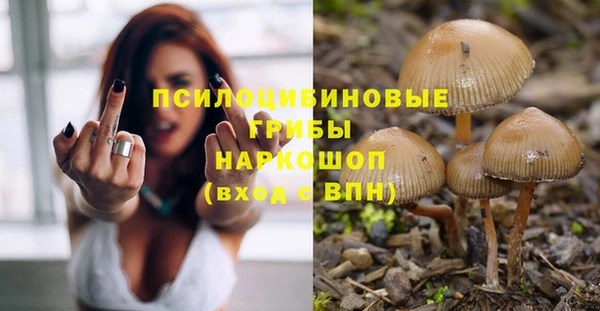 гашик Вяземский