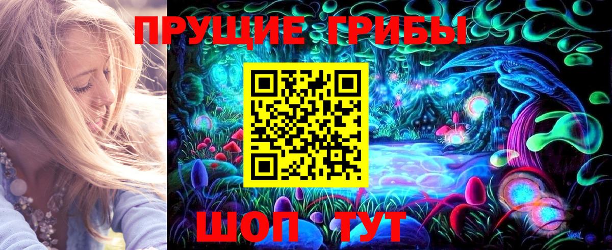 Галлюциногенные грибы GOLDEN TEACHER  Медногорск  Галлюциногенные грибы Cubensis 