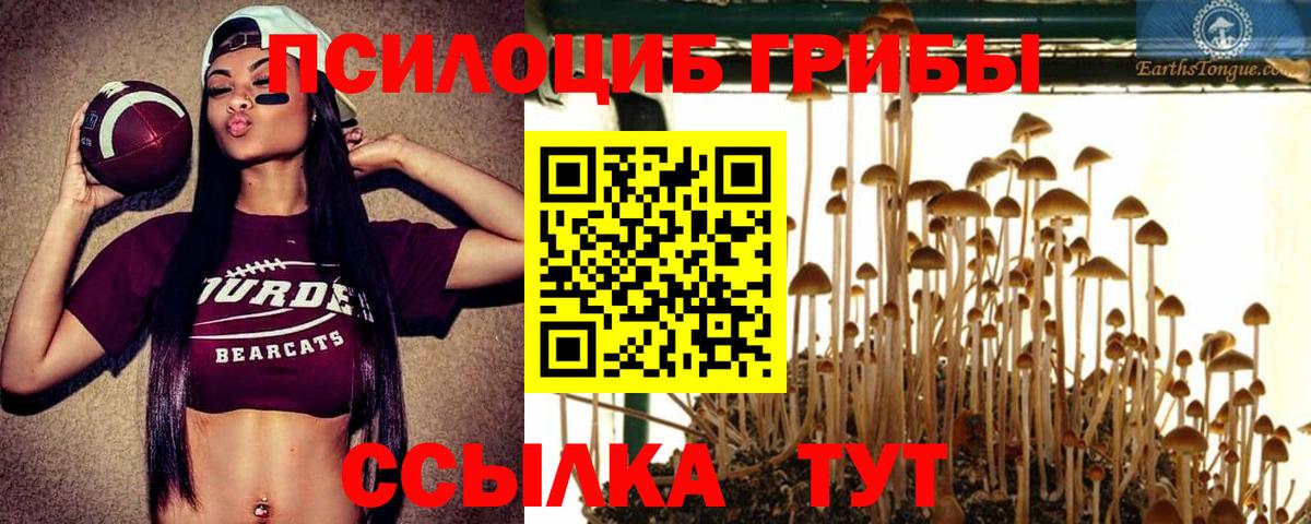 Медногорск  Галлюциногенные грибы Magic Shrooms  Псилоцибиновые грибы мухоморы  Вход с VPN 
