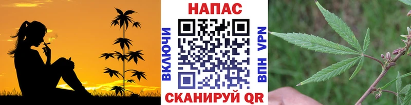 Каннабис планчик  где продают   Медногорск 